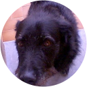 Pancho77 profile picture