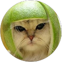 Roger Cavling profile picture